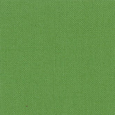Devonstone Solids 030 CROCODILE GREEN